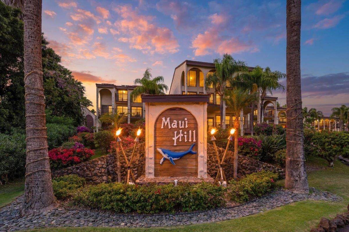 2881 Kihei Rd - Photo 1