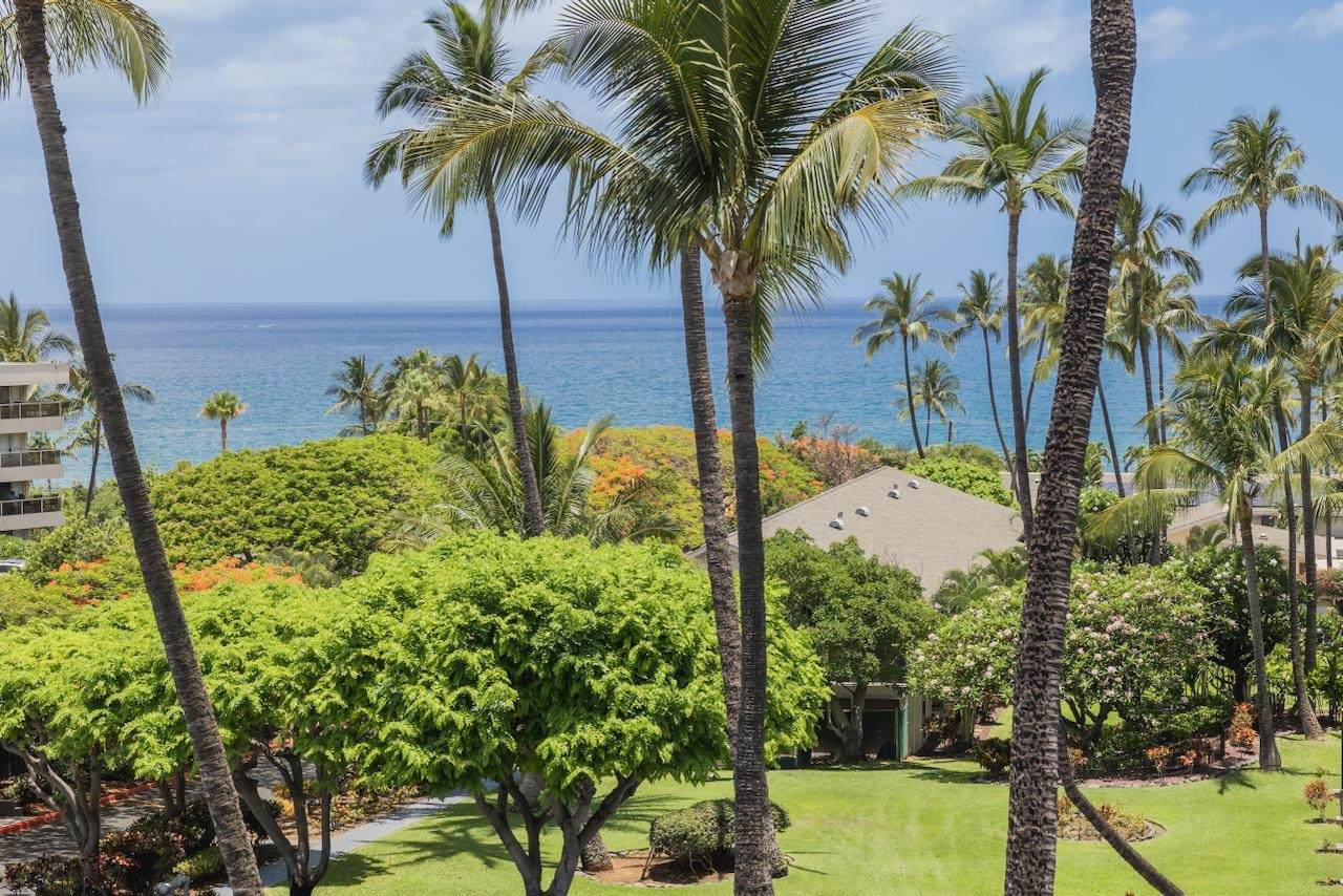 2531 Kihei Rd - Photo 1