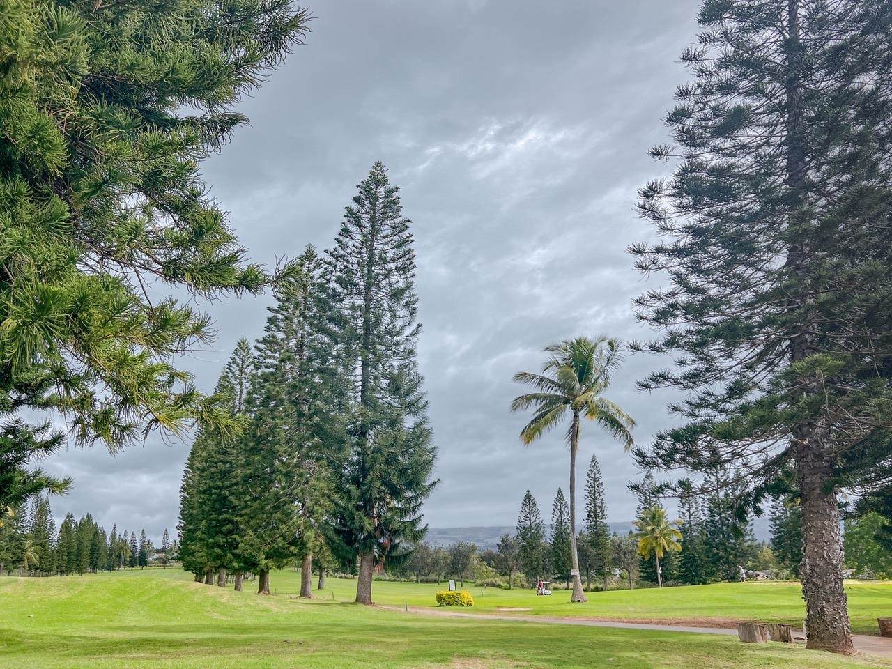 https://bt-photos.global.ssl.fastly.net/maui/1280_boomver_1_409194-2.jpg