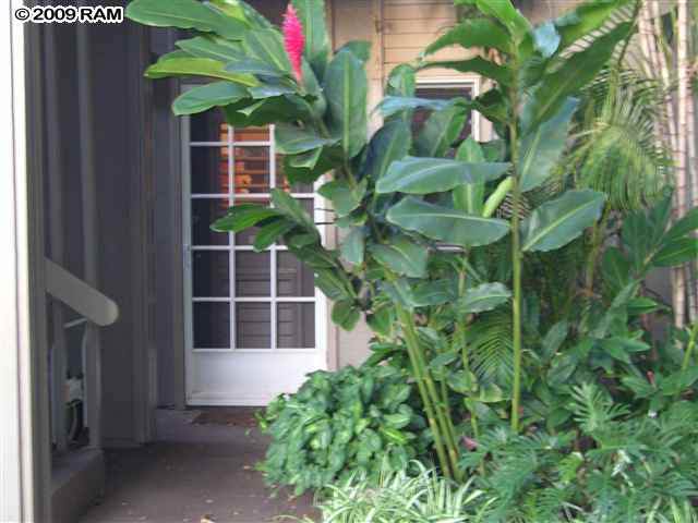 https://bt-photos.global.ssl.fastly.net/maui/1280_boomver_1_409391-2.jpg