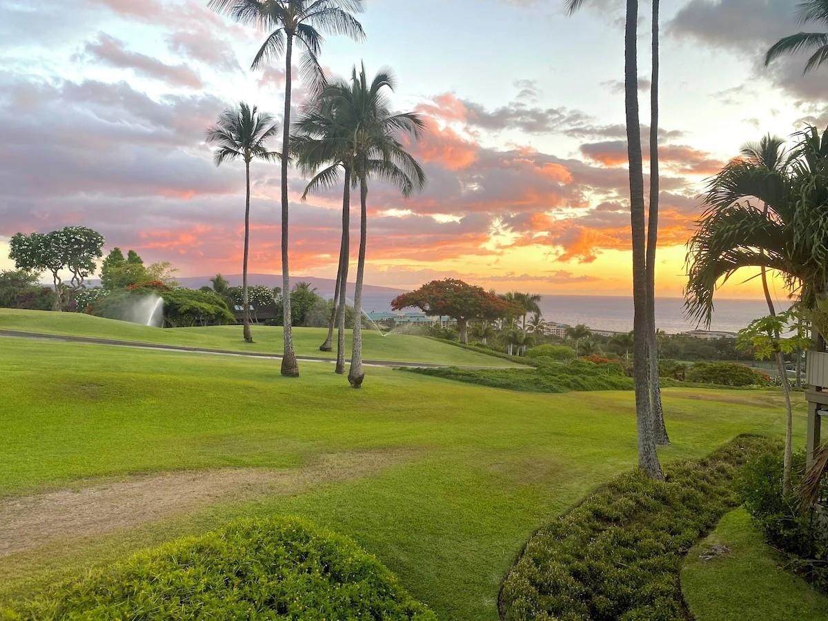 10 Wailea Ekolu Pl - Photo 1
