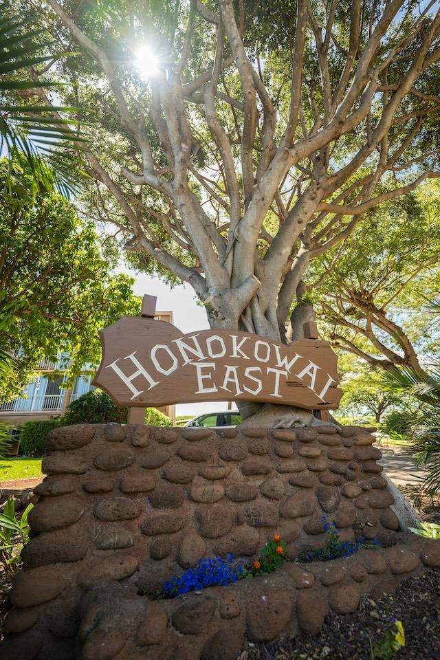 https://bt-photos.global.ssl.fastly.net/maui/orig_boomver_1_409532-2.jpg