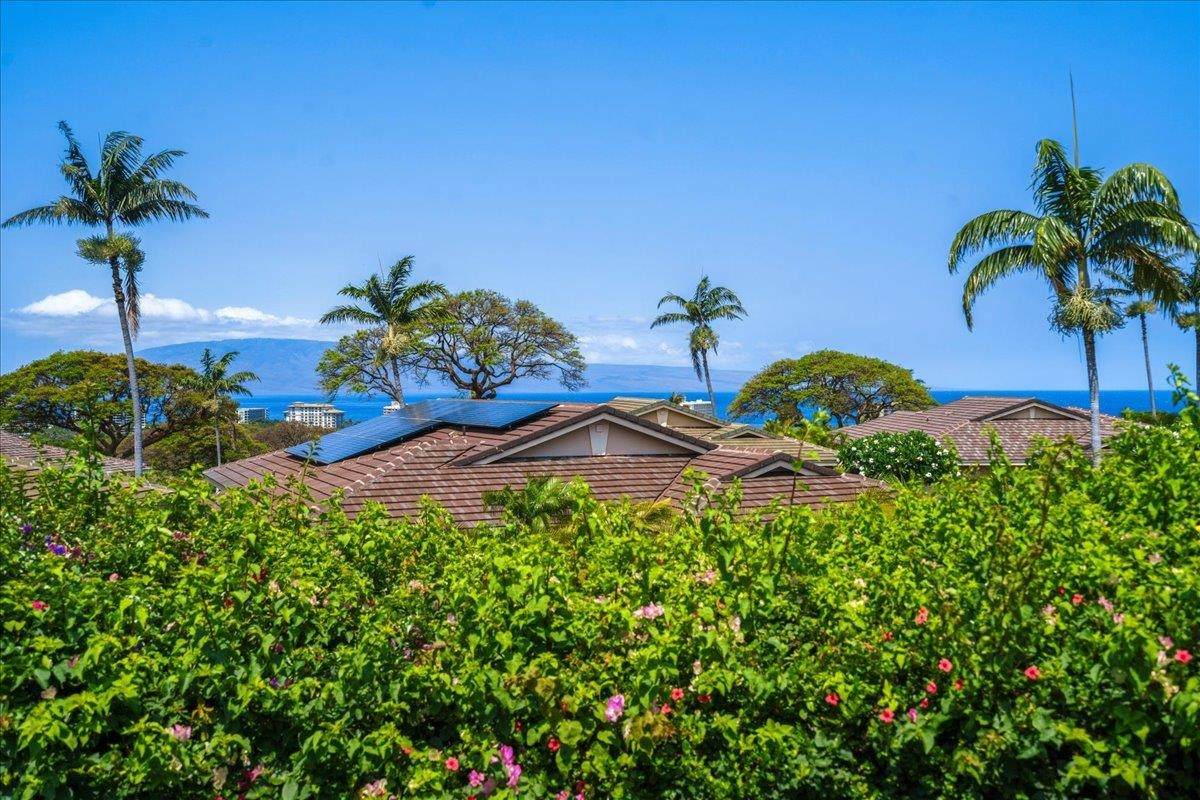 https://bt-photos.global.ssl.fastly.net/maui/orig_boomver_1_409841-2.jpg