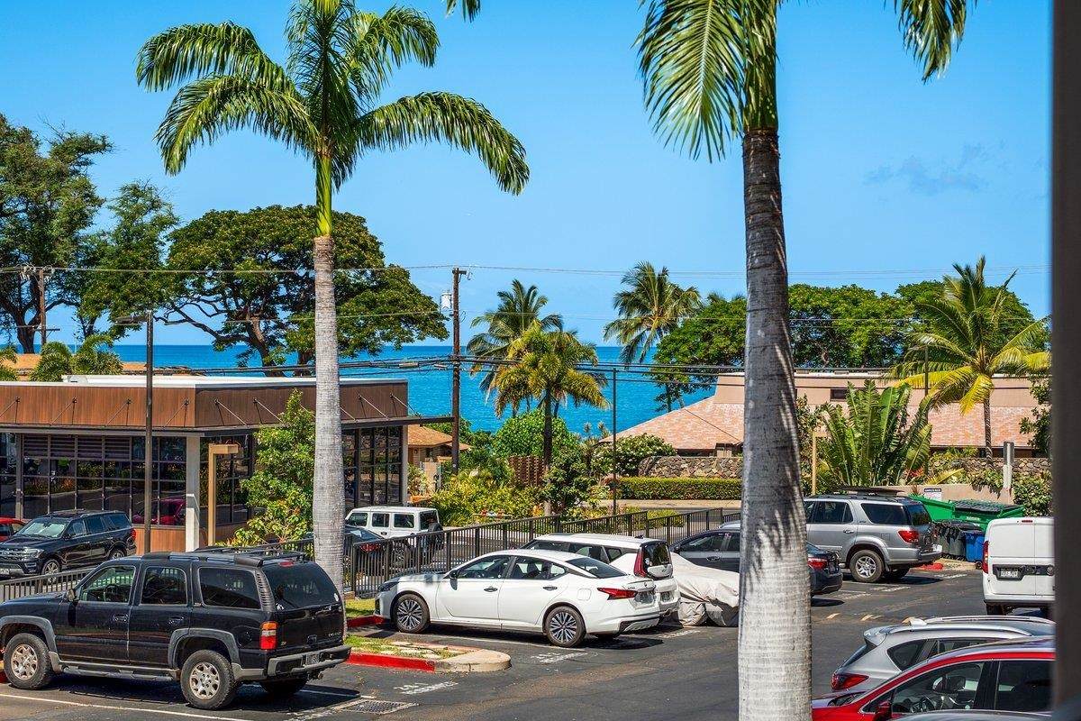 2219 Kihei Rd - Photo 1