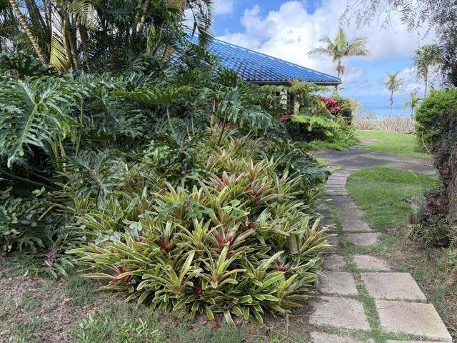 767 Holopunii Rd - Photo 1