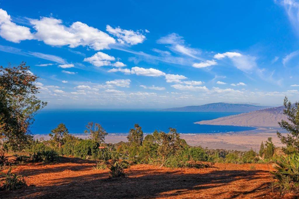 https://bt-photos.global.ssl.fastly.net/maui/orig_boomver_1_409913-2.jpg