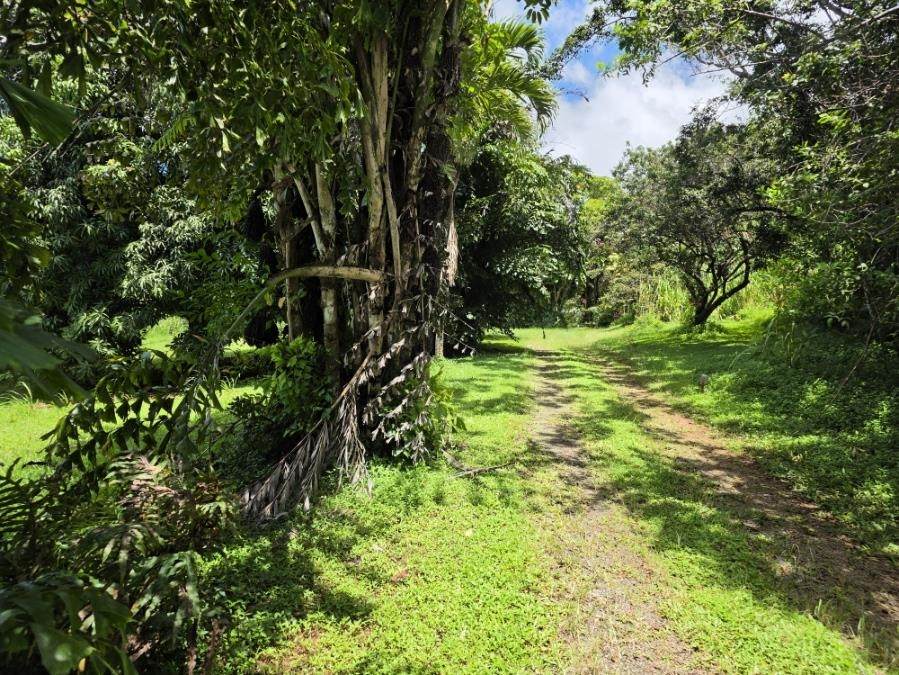 https://bt-photos.global.ssl.fastly.net/maui/orig_boomver_1_410668-2.jpg