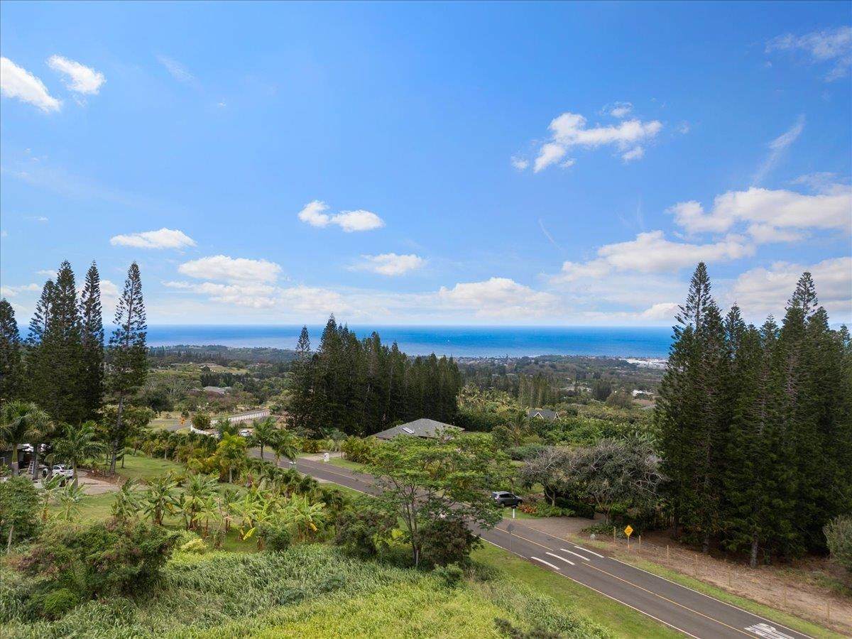 2584 Kamaile St - Photo 1