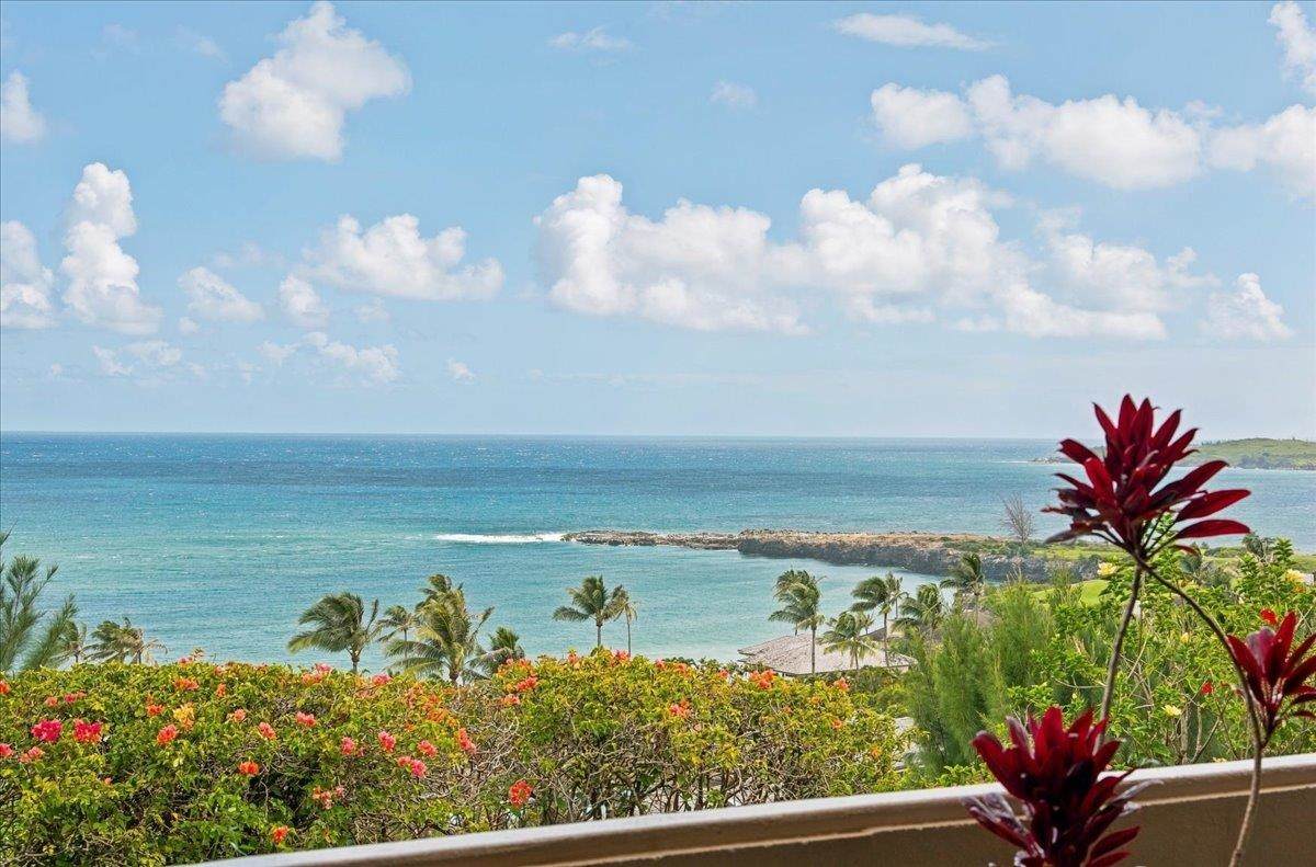 https://bt-photos.global.ssl.fastly.net/maui/orig_boomver_1_410721-2.jpg