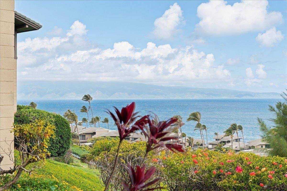 https://bt-photos.global.ssl.fastly.net/maui/orig_boomver_1_410721-2.jpg