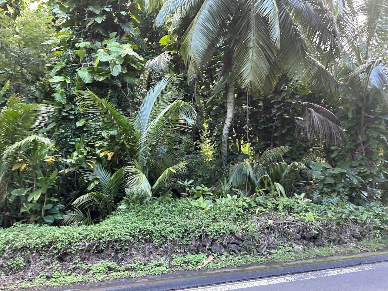 https://bt-photos.global.ssl.fastly.net/maui/orig_boomver_1_410727-2.jpg