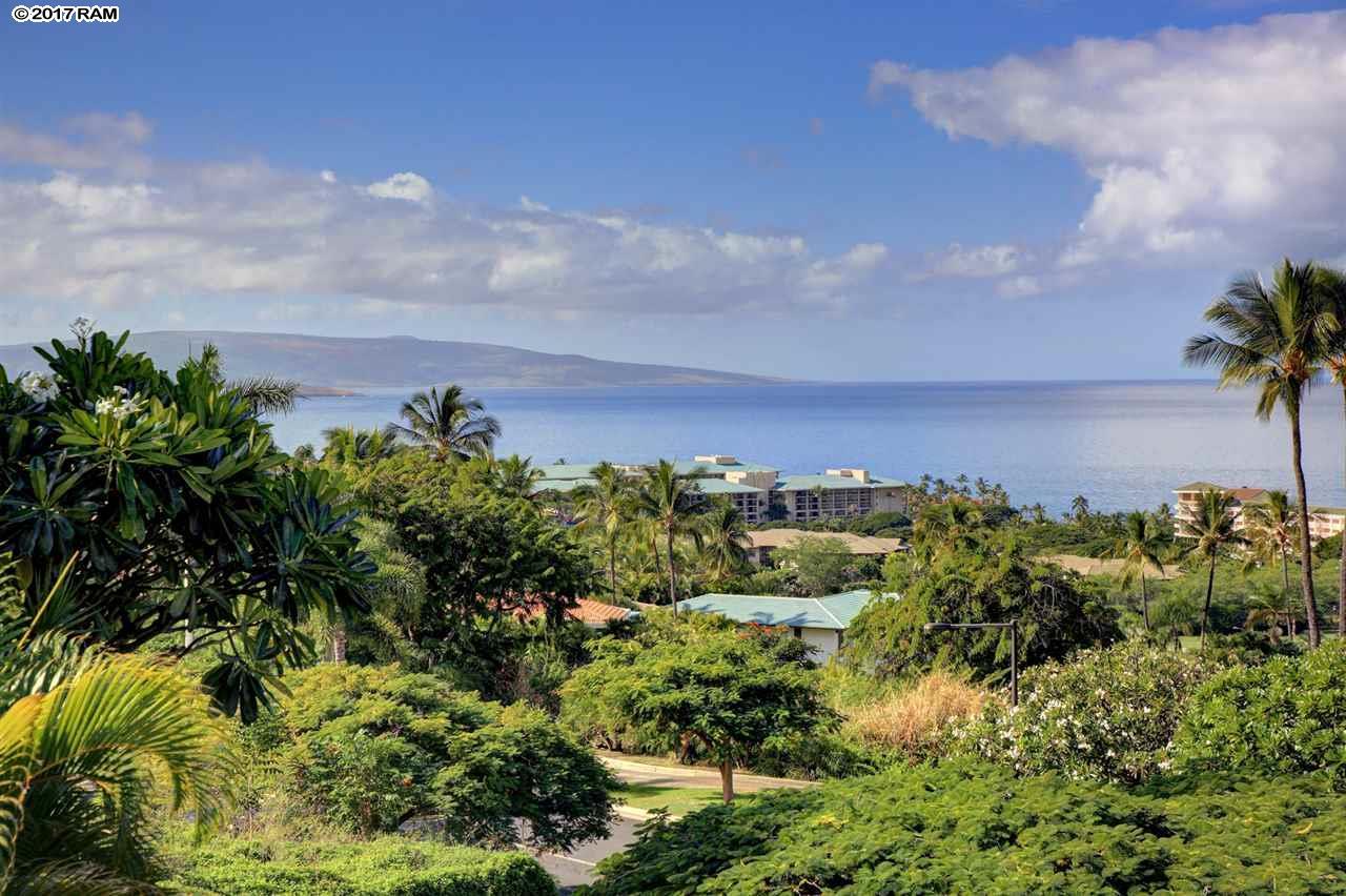 10 Wailea Ekolu Pl - Photo 1
