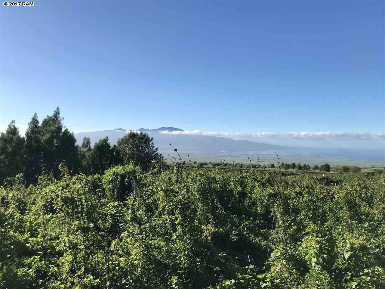 0 Kula Hwy - Photo 1