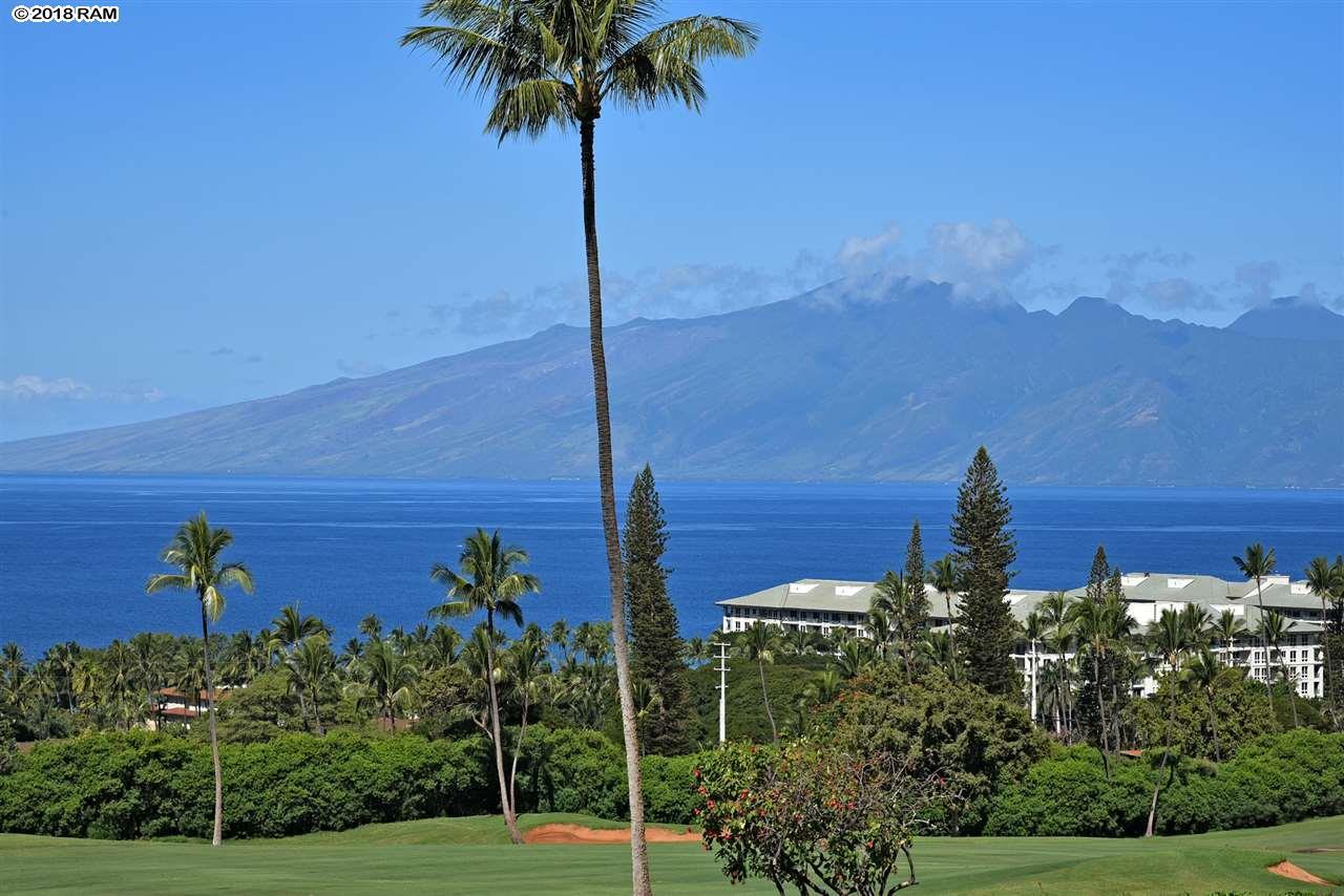 50 Puu Anoano St - Photo 1