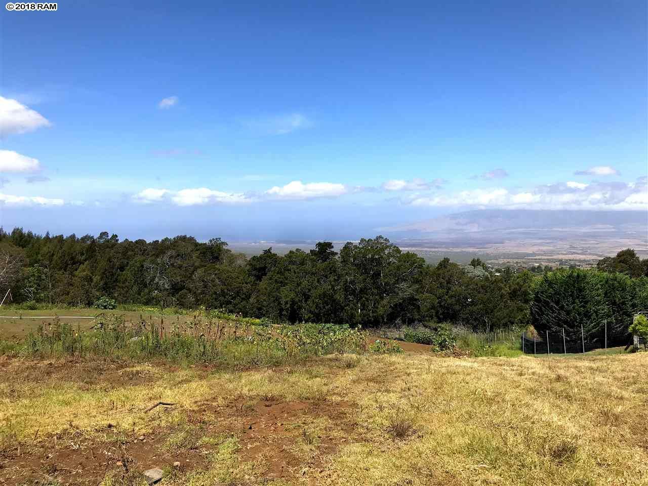 Ainakula Rd - Photo 1