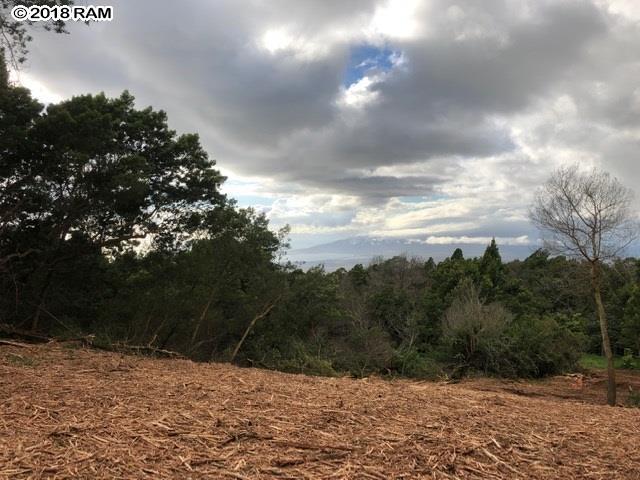 0 Haleakala Hwy - Photo 1