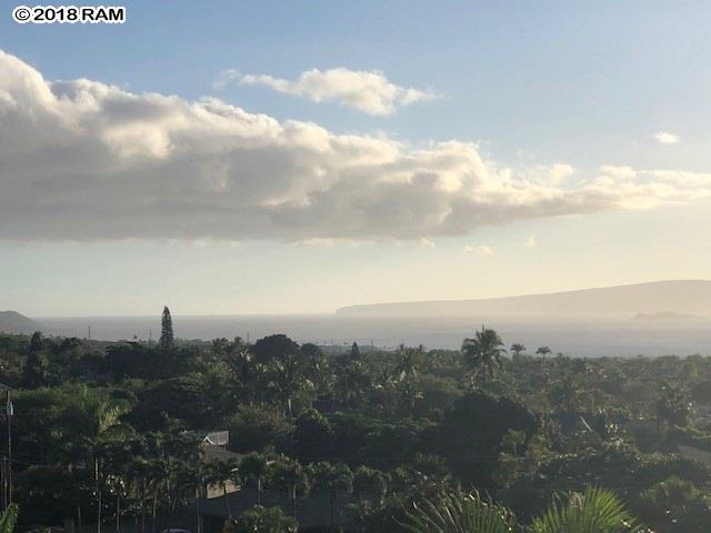 3233 Kehala Dr - Photo 1