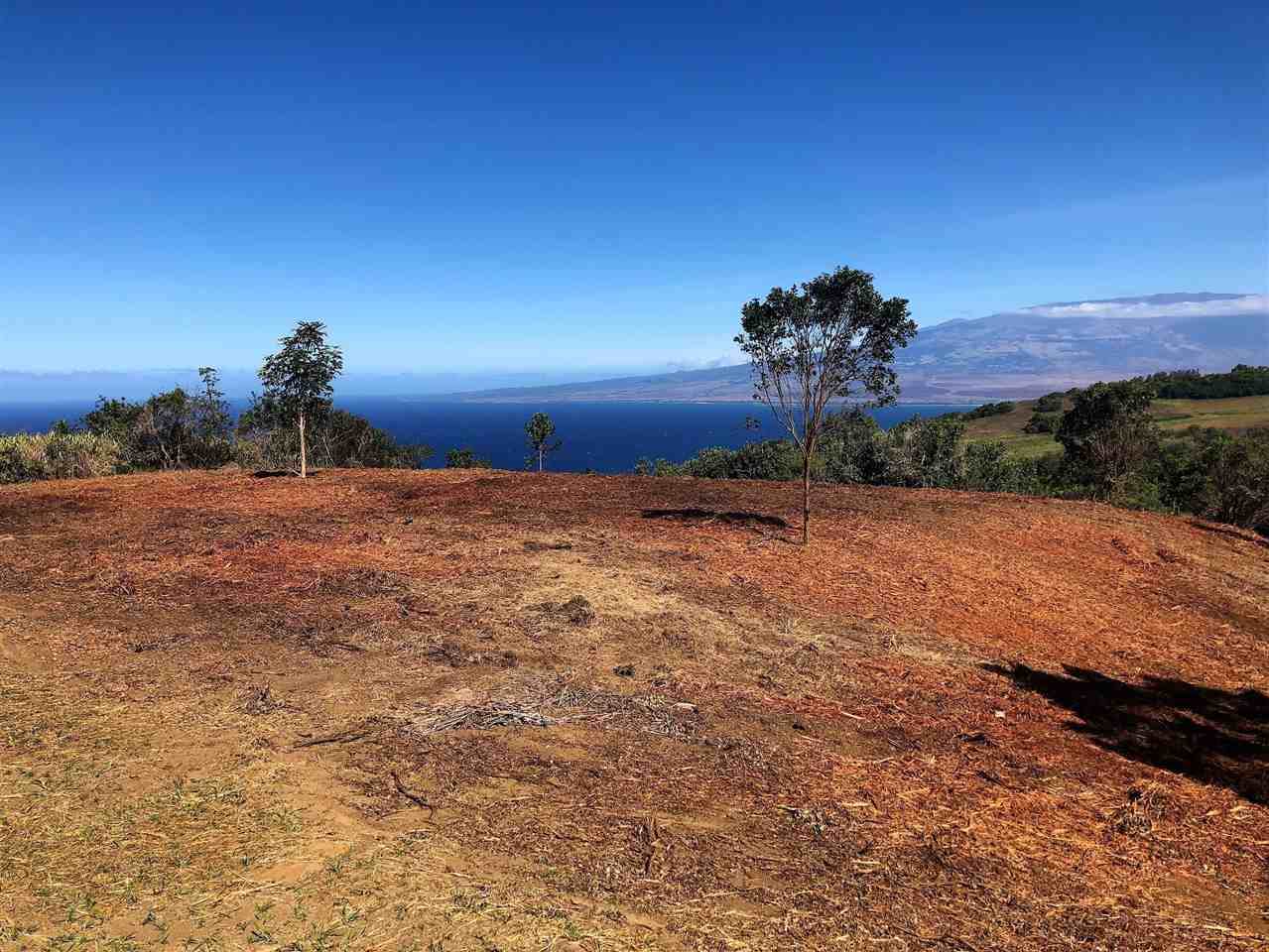 21 Lahaole Pl - Photo 1