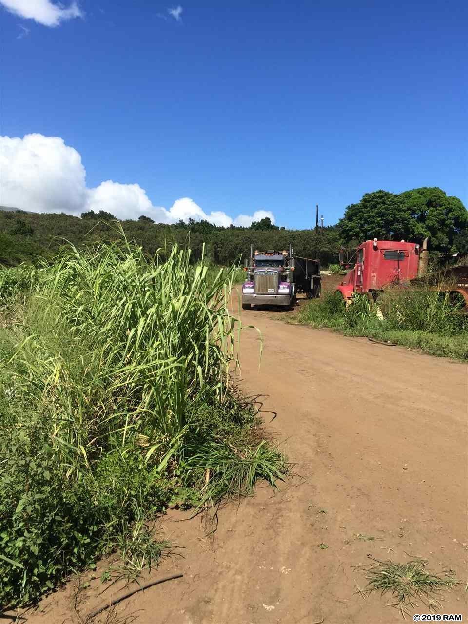 1503 Piihana Rd - Photo 1