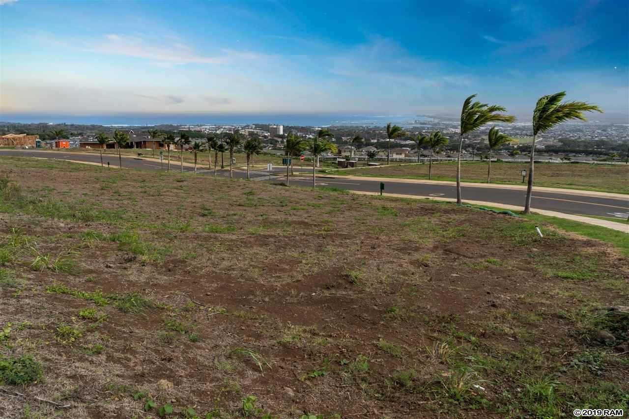106 La'ikeha Pl - Photo 1