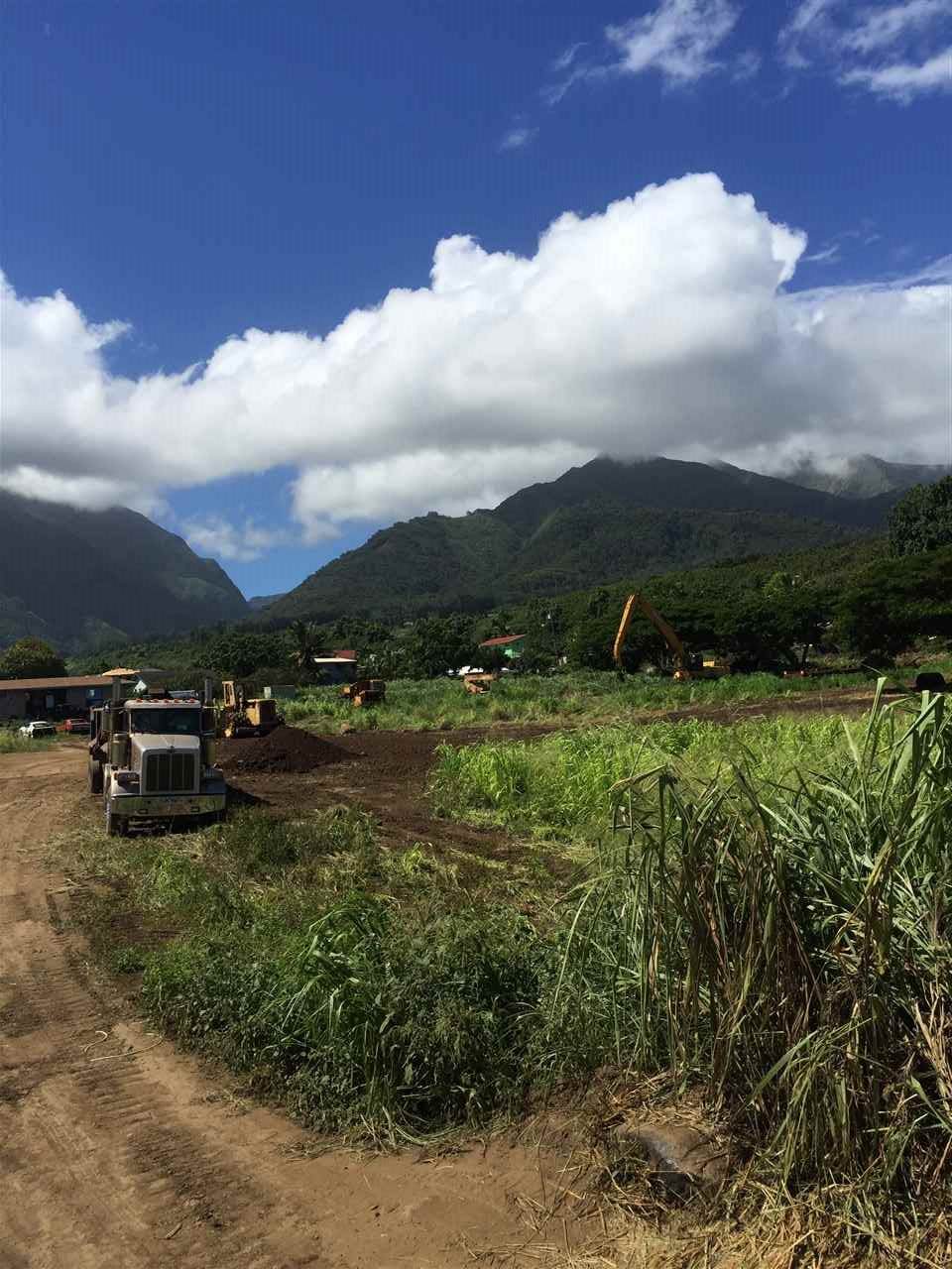 1503 Piihana Rd - Photo 1