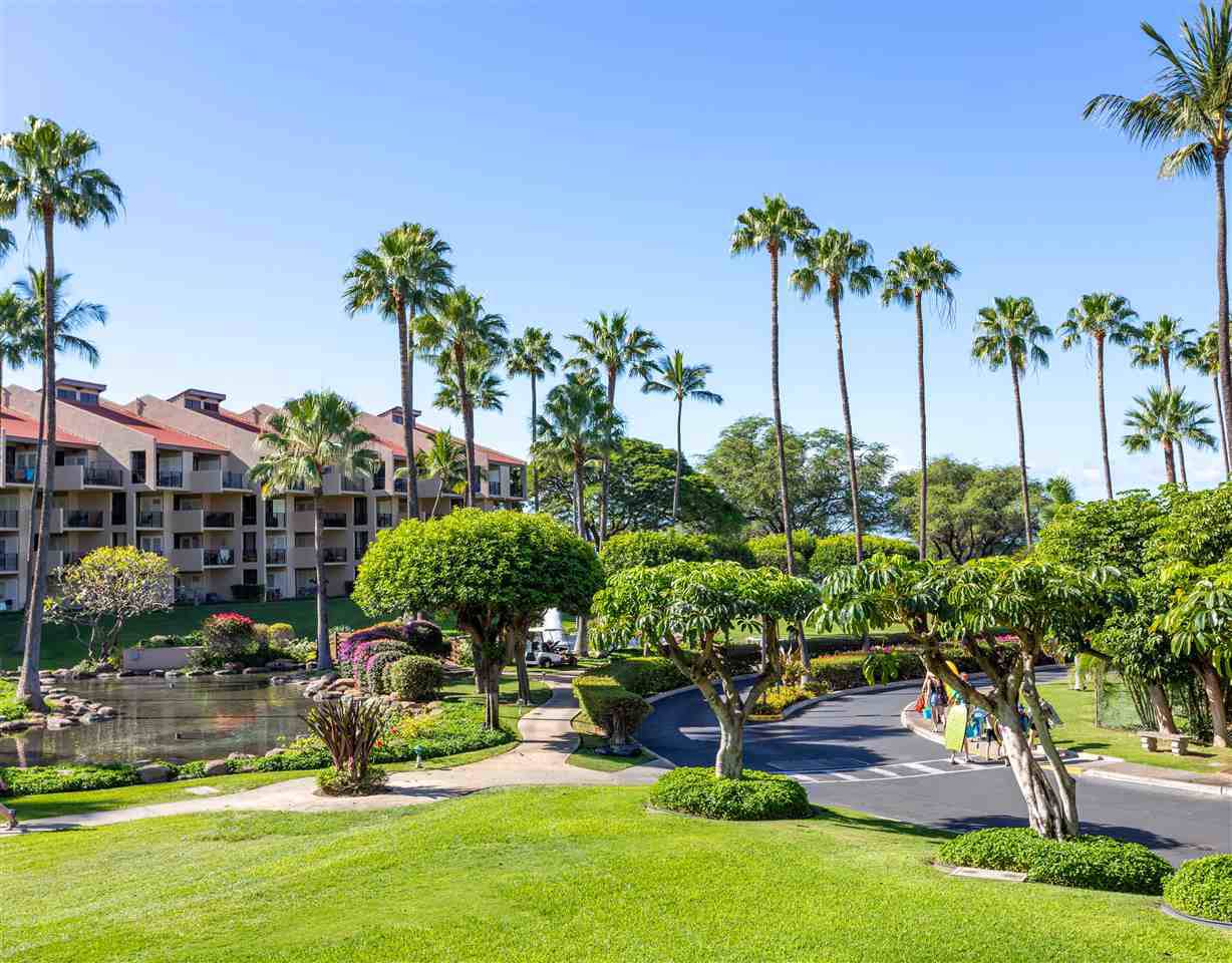 2695 Kihei Rd - Photo 1