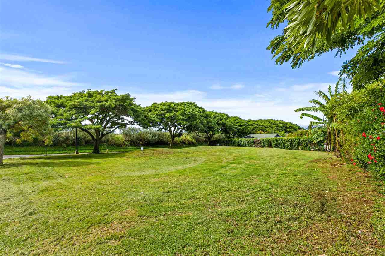 210 Apana Rd - Photo 1