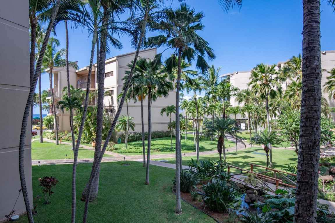 3445 Lower Honoapiilani Rd - Photo 1