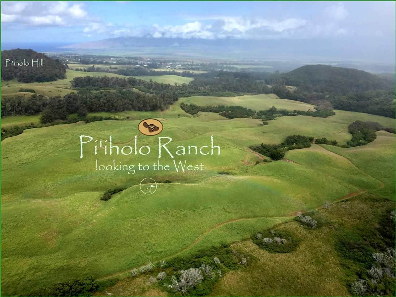 325 Waiahiwi Rd - Photo 1