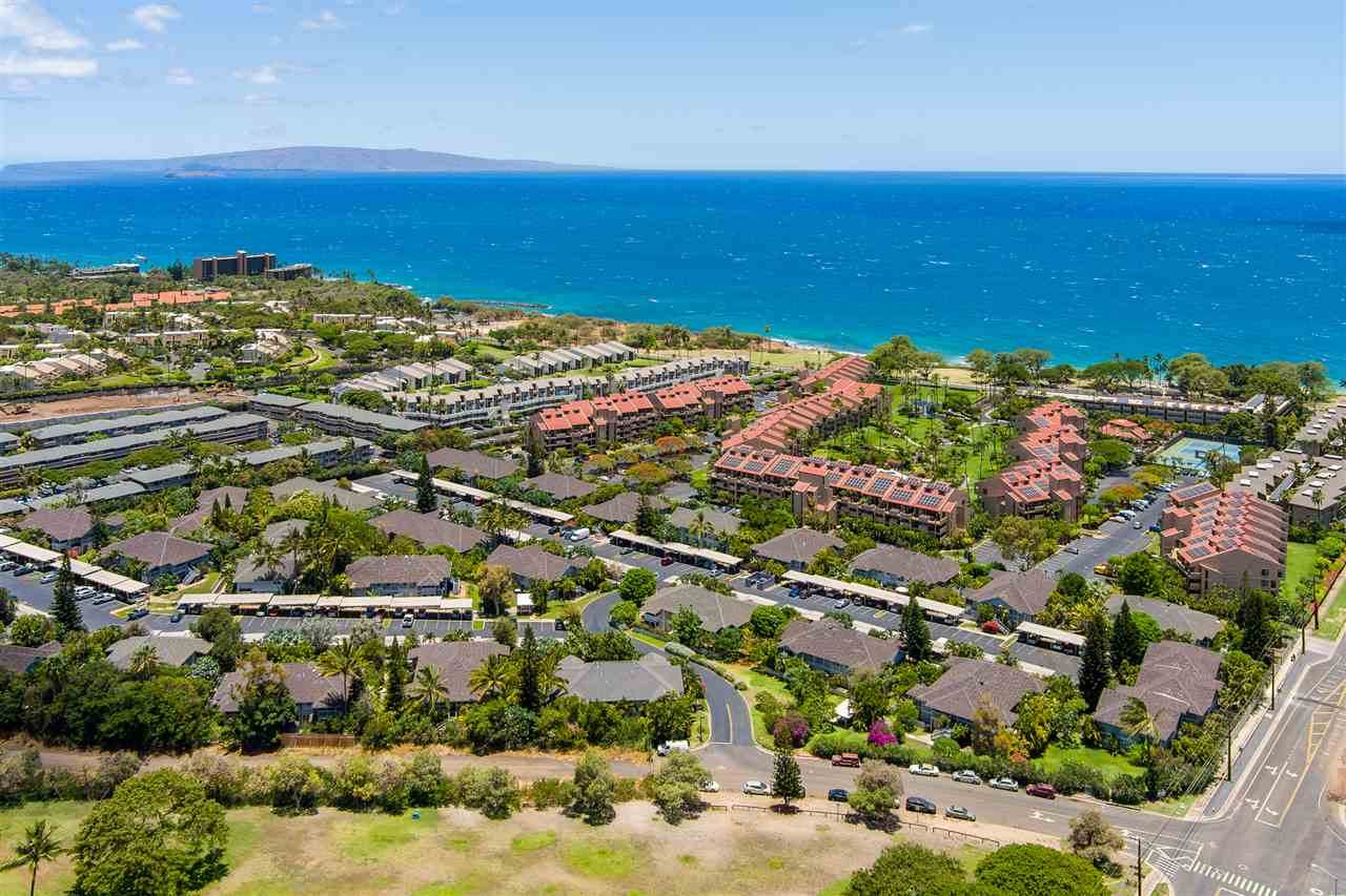 160 Keonekai Rd - Photo 1