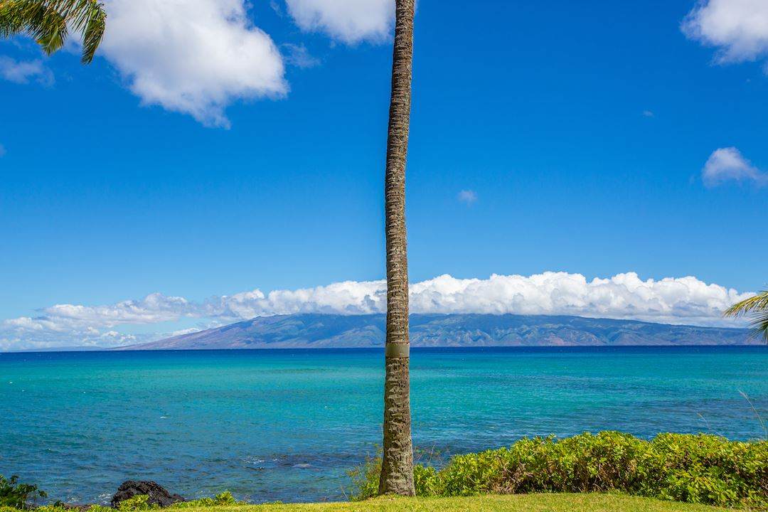 4095 Lower Honoapiilani Rd - Photo 1