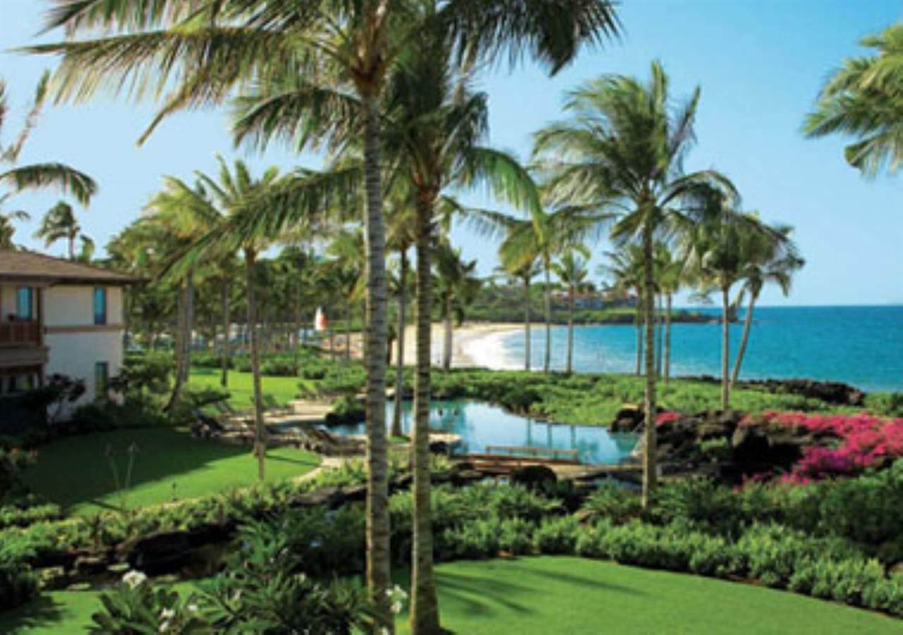 3800 Wailea Alanui Blvd - Photo 1