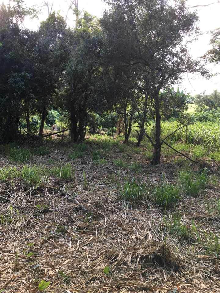 0000 no address 4.7 Acres Rd - Photo 1