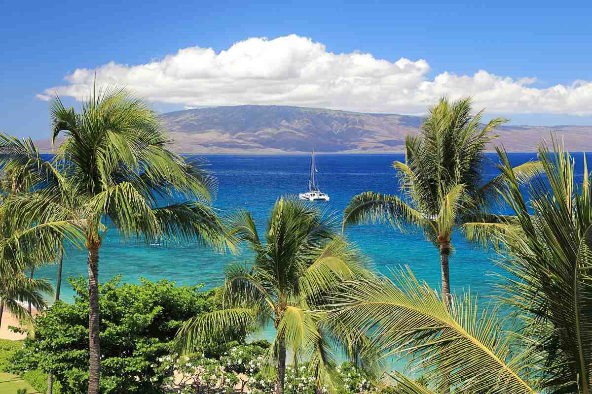 2481 Kaanapali Pkwy - Photo 1