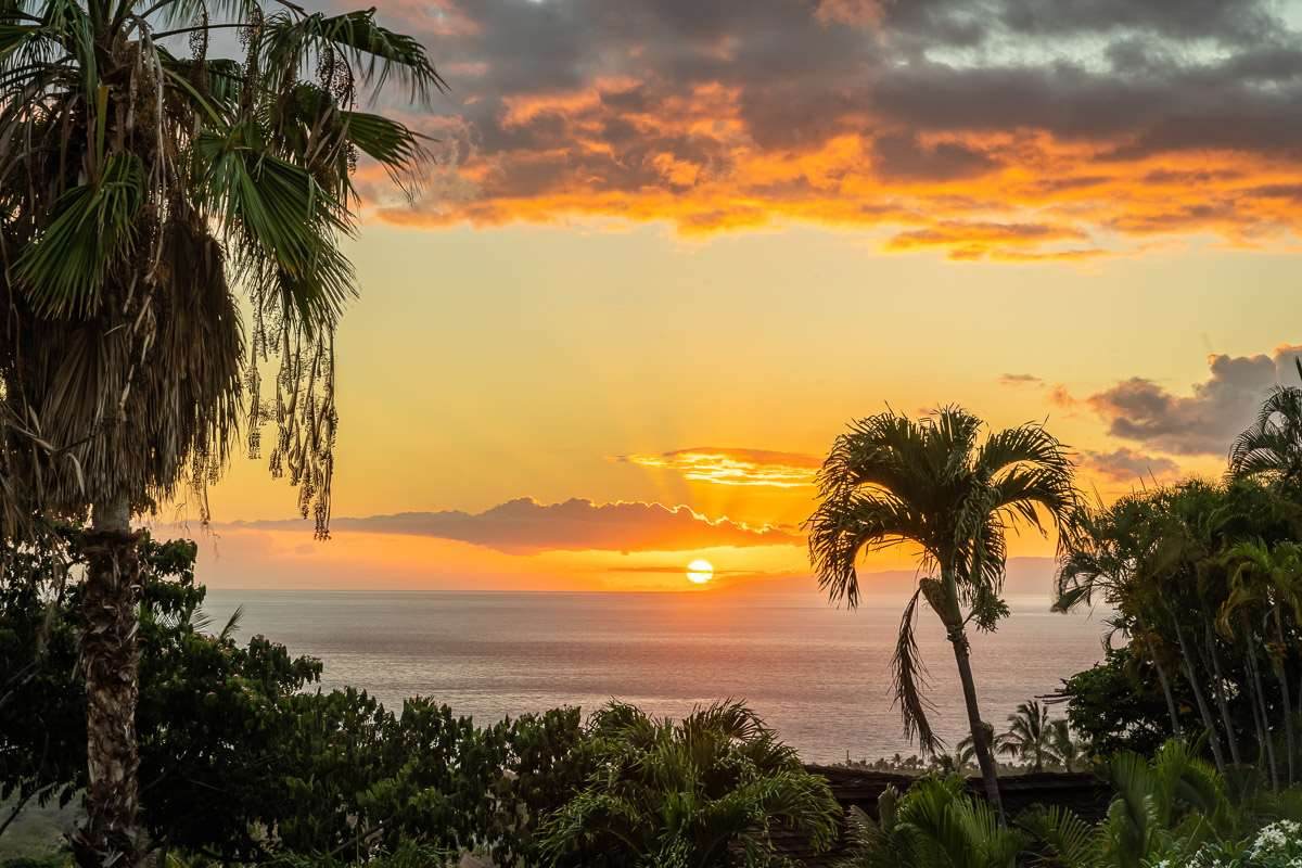 631 Kumulani Dr - Photo 1