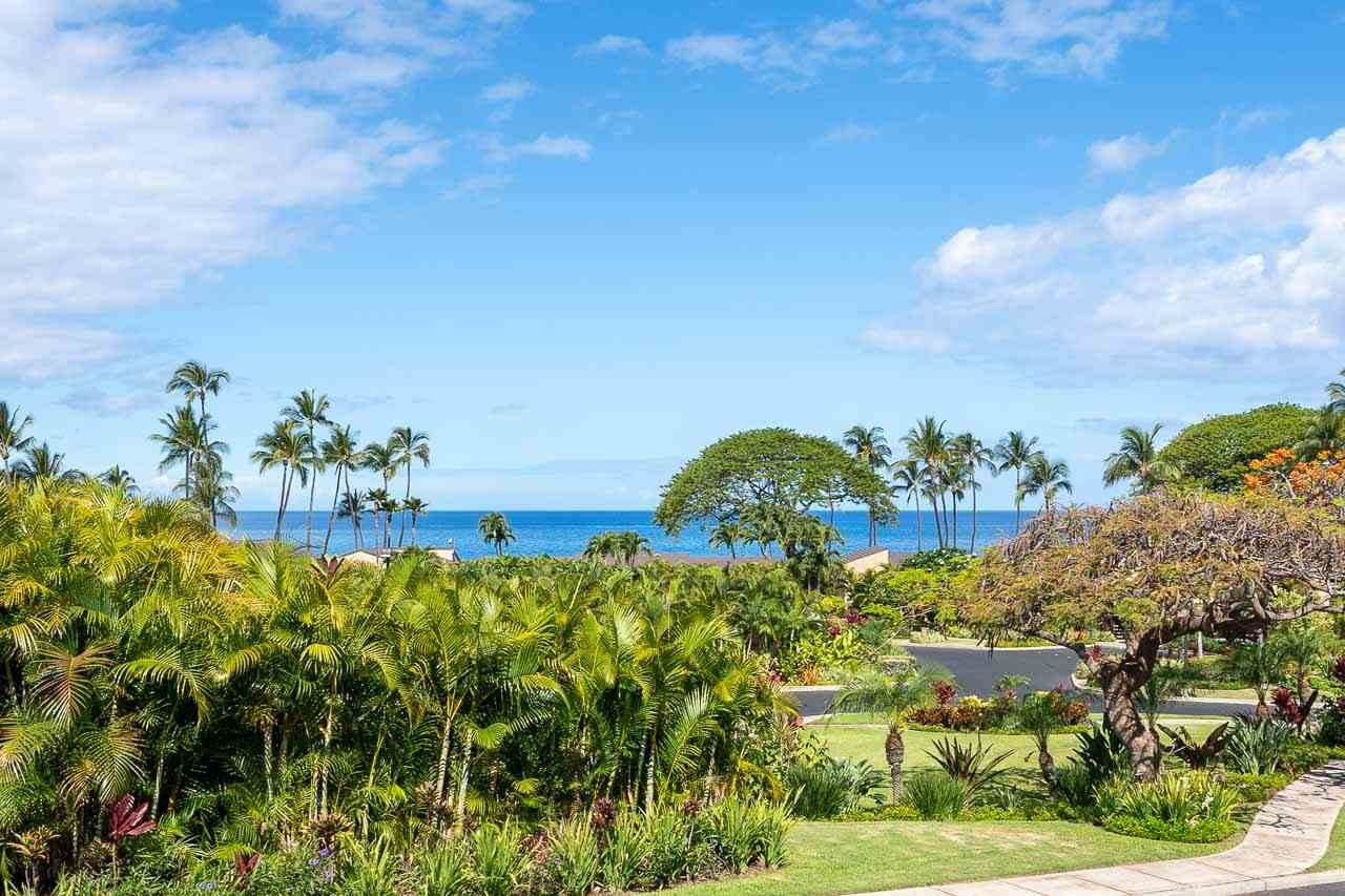 3600 Wailea Alanui Dr - Photo 1