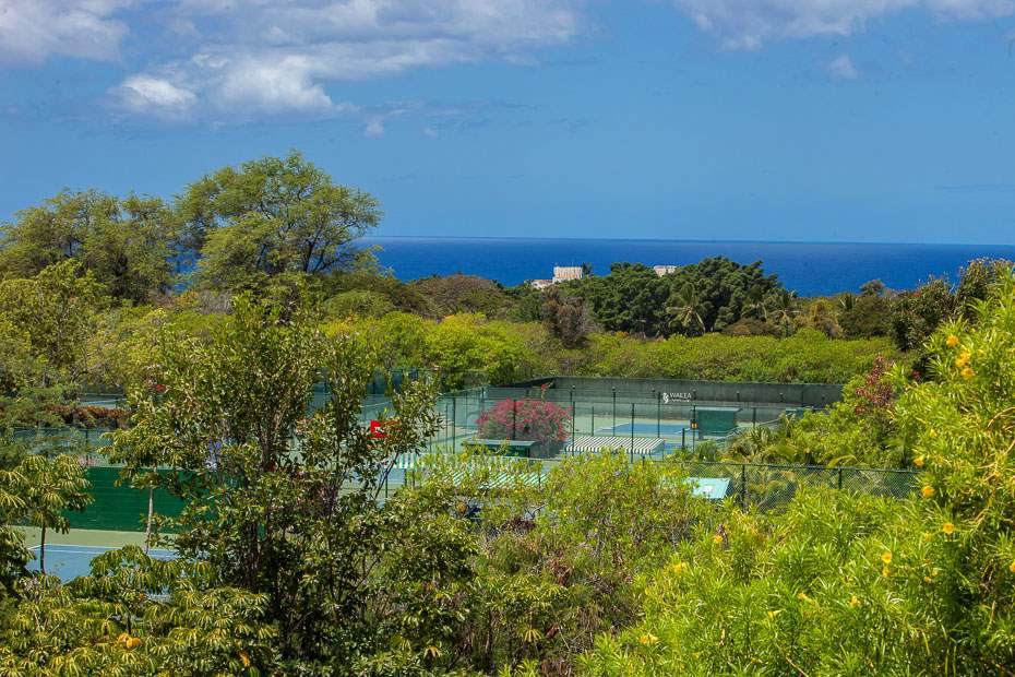 155 Wailea Ike Pl - Photo 1