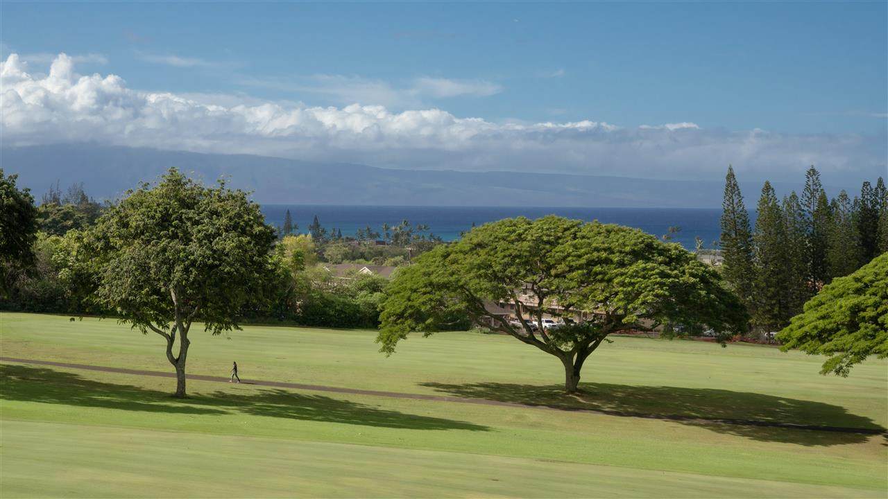 500 Kapalua Dr - Photo 1