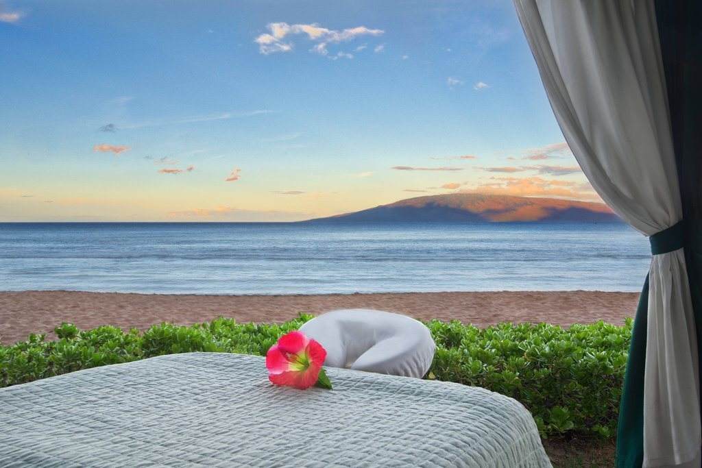 100 Nohea Kai Dr - Photo 1