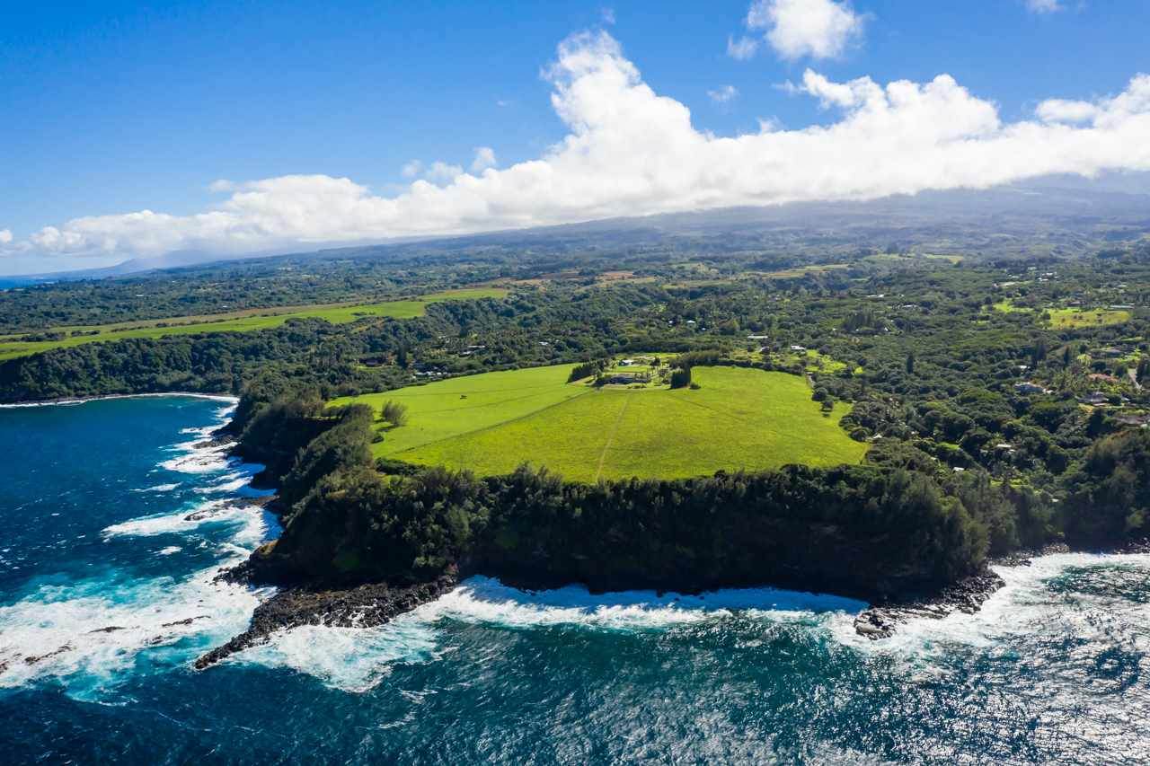 600 Haumana Rd - Photo 1