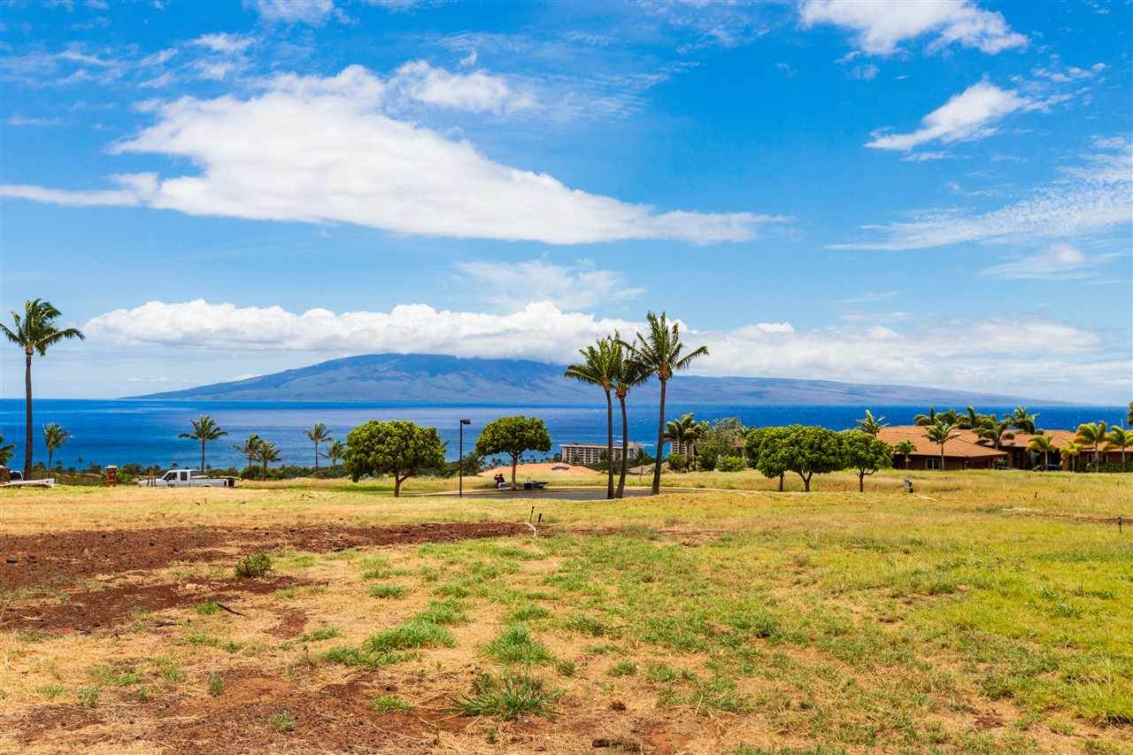 110 Lewa Lani Pl - Photo 1