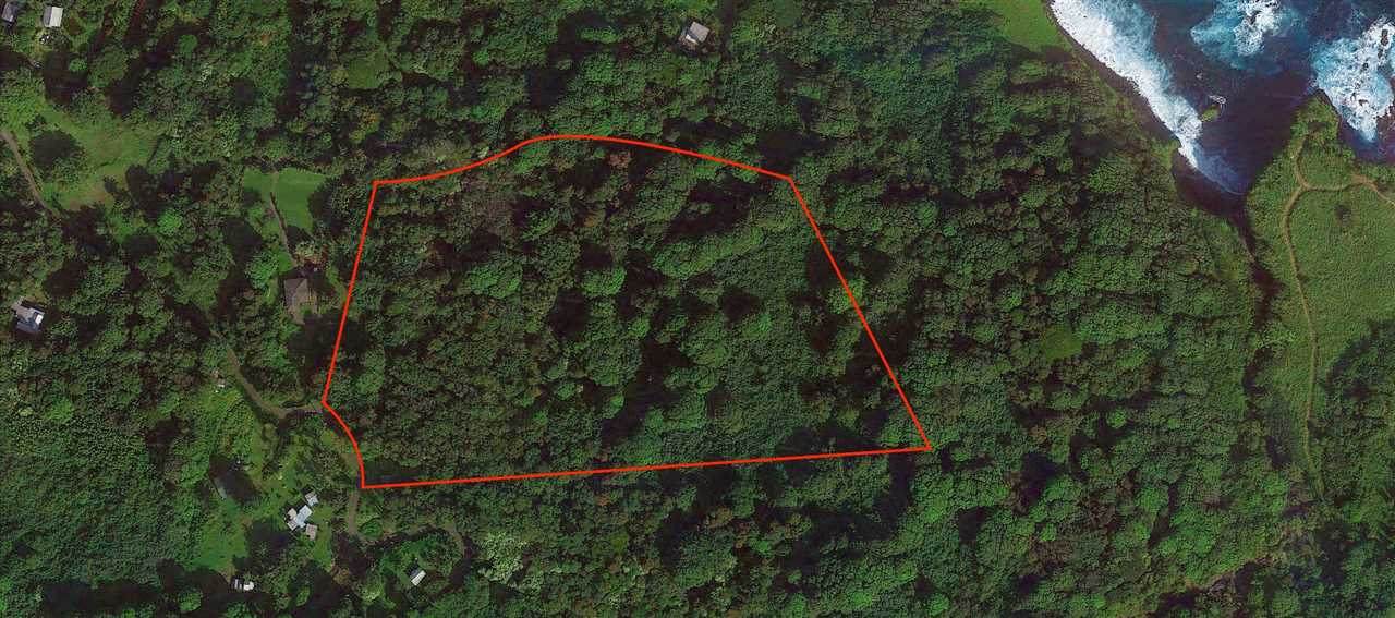 Lower Nahiku Rd - Photo 1