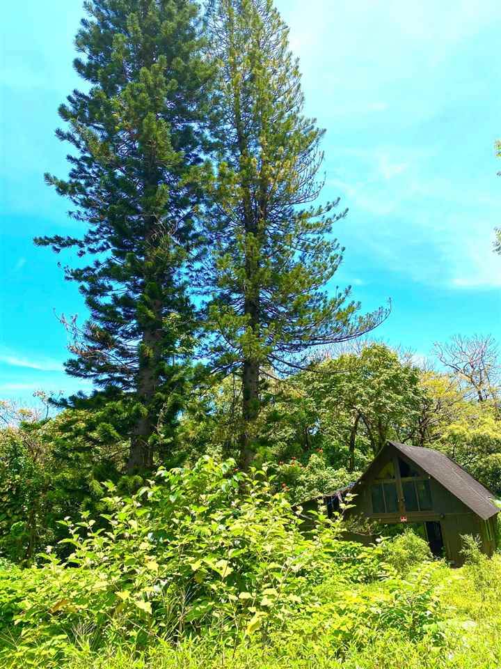 1330 Ulaino Rd - Photo 1