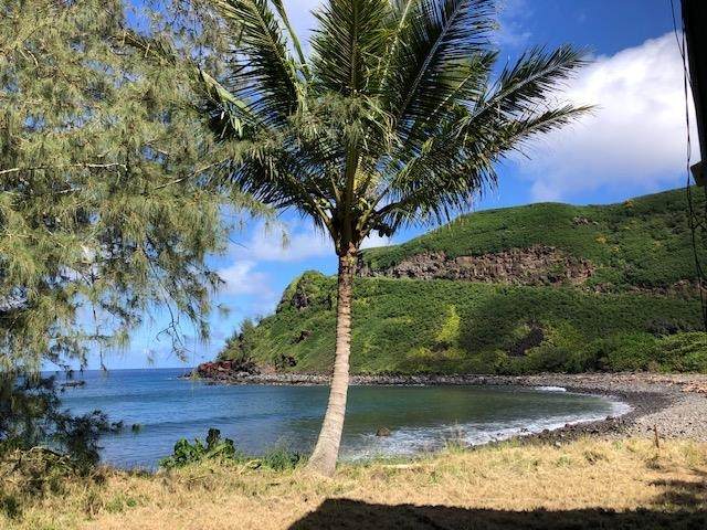 0 Honokohau Valley Rd - Photo 1