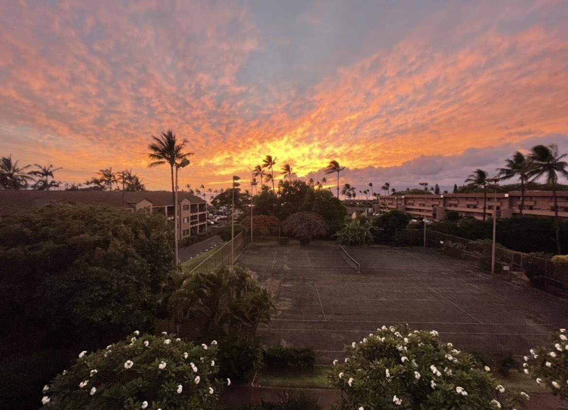 3660 Lower Honoapiilani Rd - Photo 1