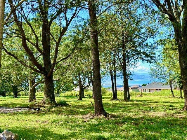26 Kula Hwy - Photo 1