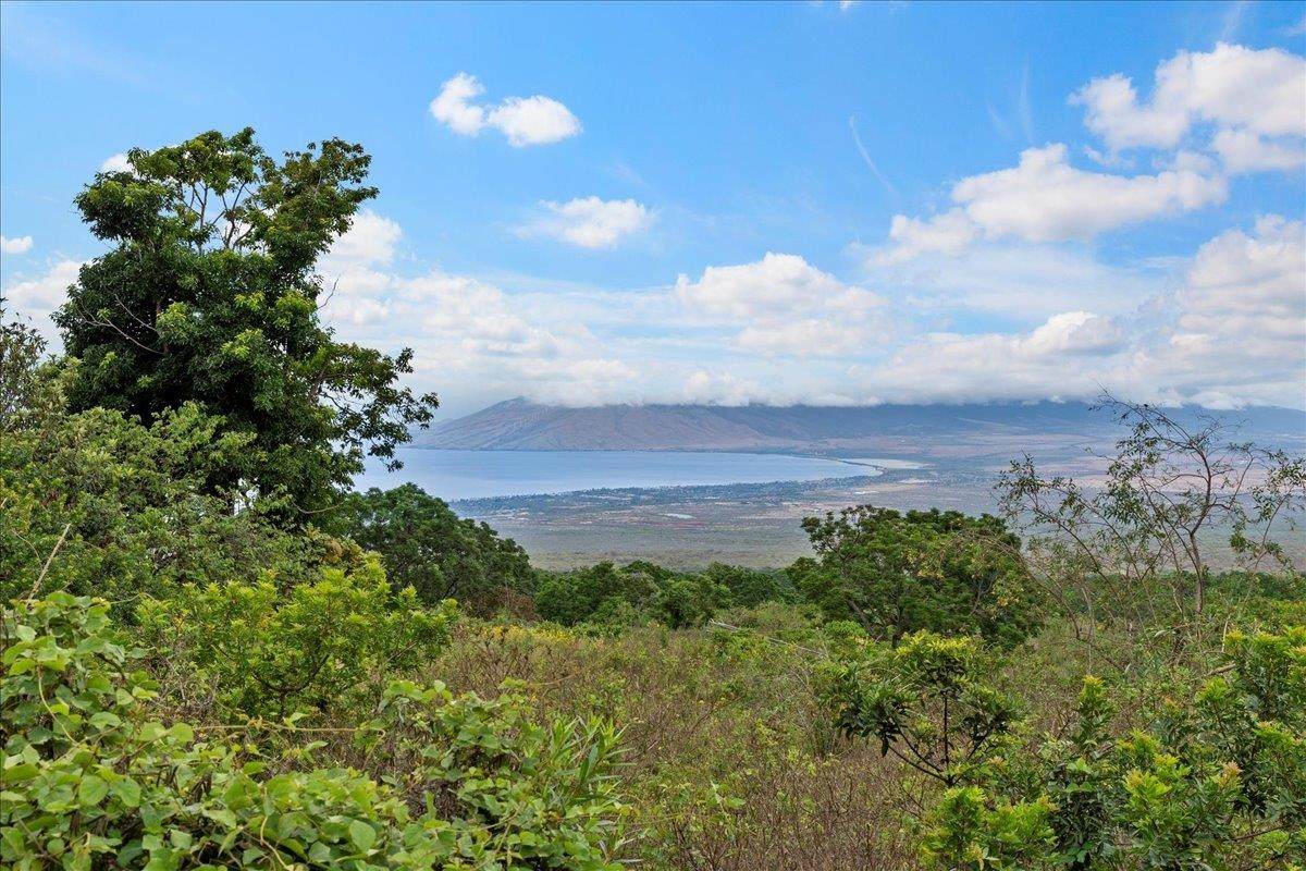 0 Kula Hwy - Photo 1