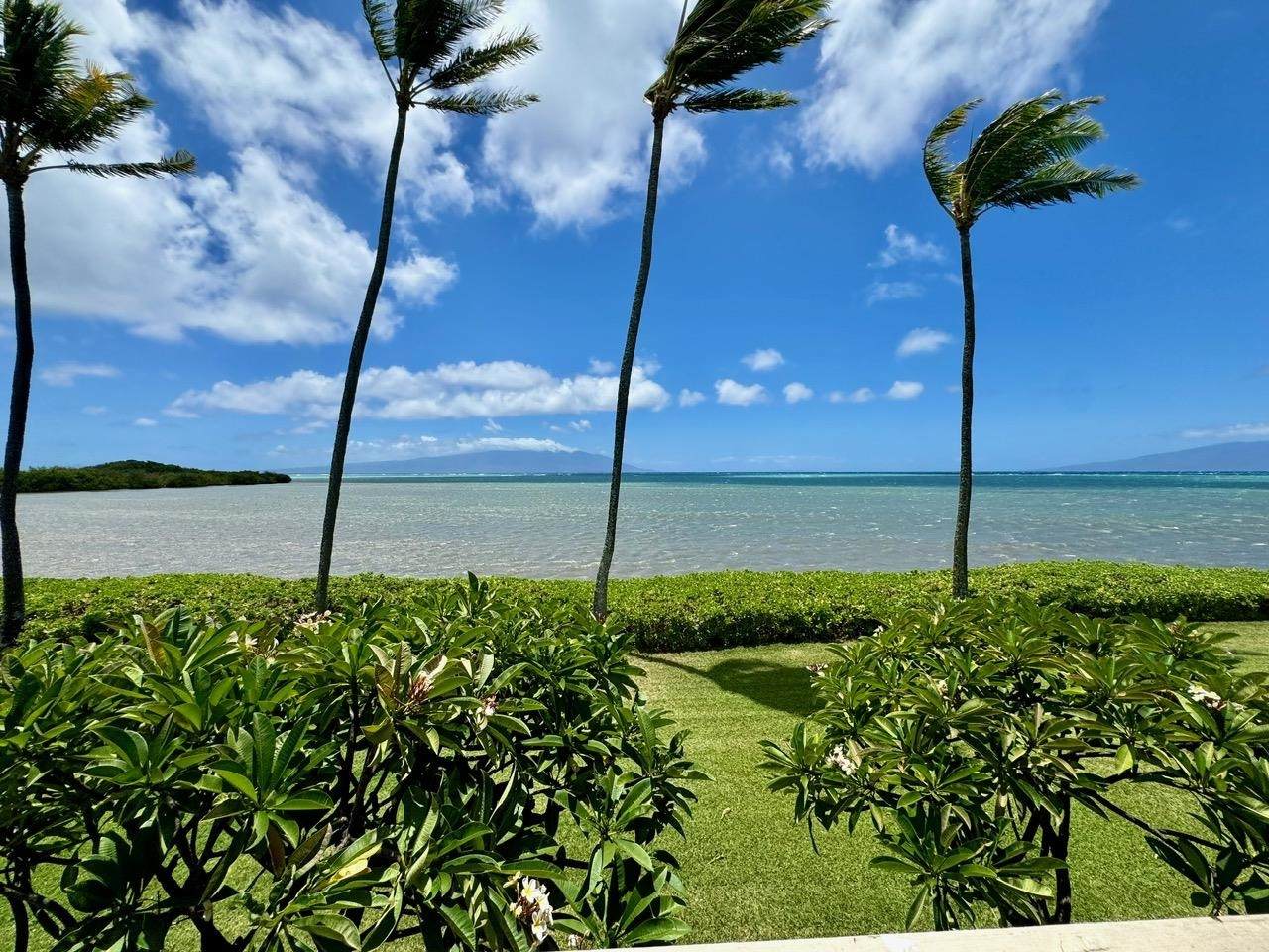 7142 Kamehameha V Hwy - Photo 1