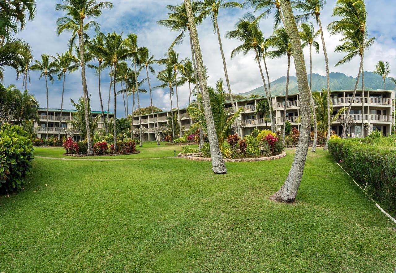 https://bt-photos.global.ssl.fastly.net/maui/orig_boomver_2_406746-2.jpg