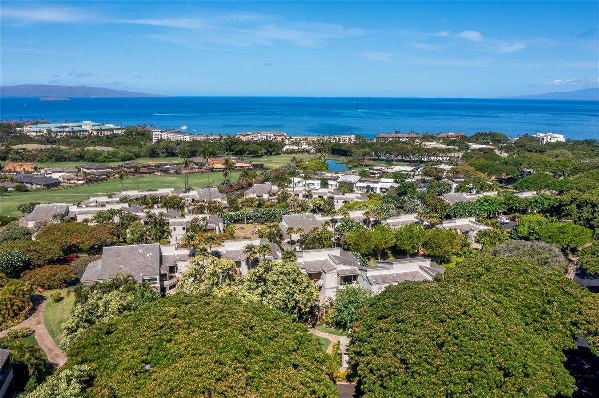 https://bt-photos.global.ssl.fastly.net/maui/1280_boomver_2_408874-2.jpg
